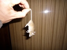 ネズミがお米を食べにきた！！ - jagrons ‐ 農業技術を追求しおいし
